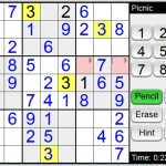 Sudoku on Web, Picnic Level, Salt Skin